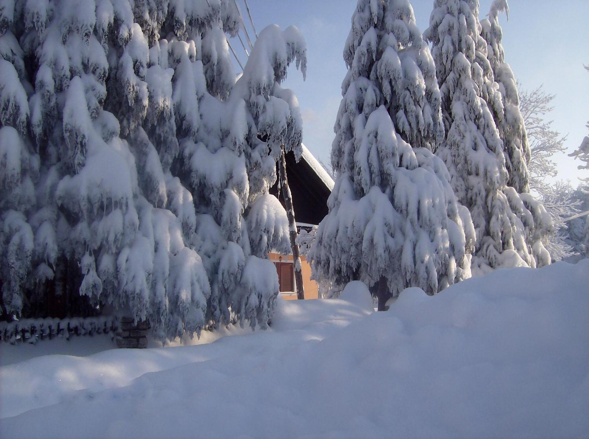 Plitvice Rooms Family Glumac Plitvička Jezera エクステリア 写真