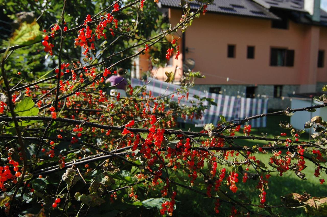 Plitvice Rooms Family Glumac Plitvička Jezera エクステリア 写真